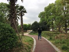 -府河摄影公园