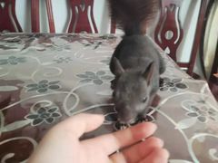 -海底捞火锅(大融城店)