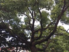 -棕榈岛海鲜自助餐厅(虹桥迎宾馆店)