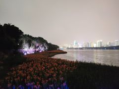-南宁南湖公园