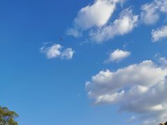 -同济大学(嘉定校区)