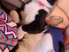 -Sirena海妖日咖夜酒