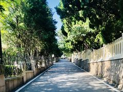 -八大关景区