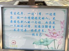-长安寺