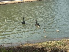 -琅岐红光湖公园