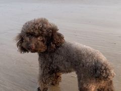 -青岛第三海水浴场