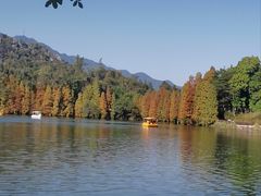 -星湖旅游景区七星岩