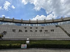 -中国西峡恐龙遗迹园