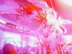 -古吉拉酒吧·蒲seven蹦