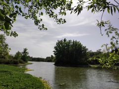 -白鹭湾湿地公园