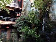 -Rainforest