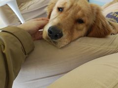 -怪兽屋·羊驼·猫咖·狗咖(俊华广场店)