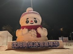 -沈阳奥体冰雪嘉年华