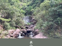 -大奇山国家森林公园