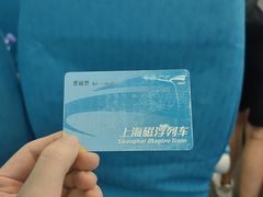 -龙阳路磁悬浮列车总站-停车场