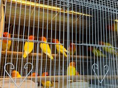 -宠爱我(南山店)