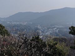 -香雪海