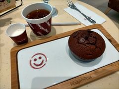 -哈根达斯(石家庄北国店)