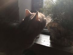 -不舍昼夜咖啡馆