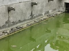 -太平禅寺