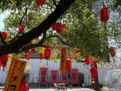 -同里国家湿地公园