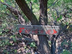 -阳台山自然风景区