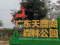 -天鹿湖森林公园