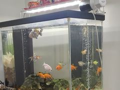-会麦二手奢侈品包包手表回收寄卖(八佰伴店)