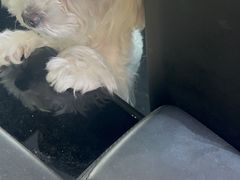 -上海市长宁区天山中医医院