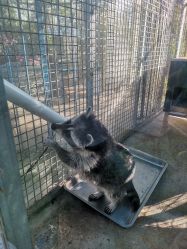 -萌宠亲子动物乐园(槐房万达店)