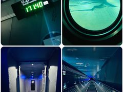 -白鹤梁水下博物馆