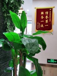 -芳朵美容养生SPA