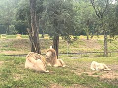 -秦皇岛野生动物园