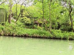 -西溪国家湿地公园