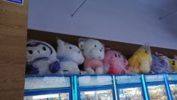 -晴空乐园(东厦100店)