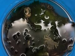 -青岛银沙滩温德姆至尊酒店