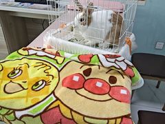 -嘉馨宠物医院·CT影像转诊·心脏科·犬猫全科诊疗中心(下沙大学城院区)