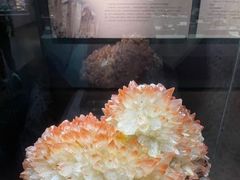 -湖南省地质博物馆