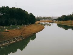 -上海海湾国家森林公园