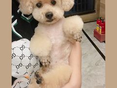 -有宠宠物(YOUCOIN·未来店)