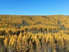 -塞罕坝国家级自然保护区