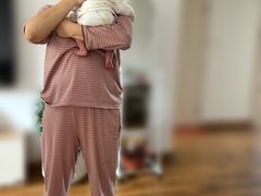 -爱月宝月嫂·育儿嫂(哈尔滨总店)