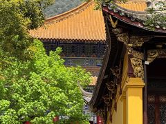 -天目山大树王景区