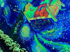 -天津梵高星空艺术馆(天河城旗舰店)
