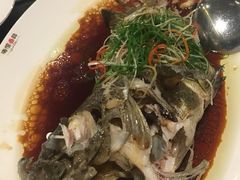 -海湾壹品·粤菜·早茶·烤鸭(拱北店)