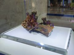 -湖南省地质博物馆