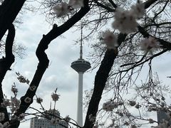 -辽宁电视塔