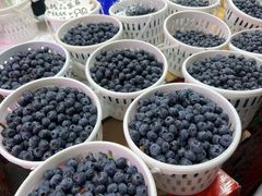 -大观篆新农贸市场
