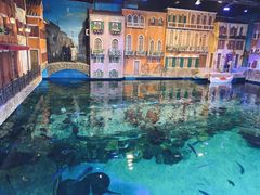 -华夏文旅海洋公园