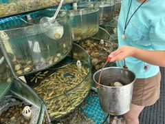 -仙螺岛海鲜自助餐厅(总店)